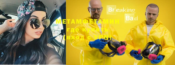 хмурый Белокуриха