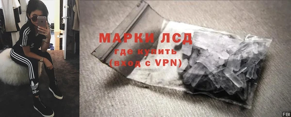 хмурый Белокуриха