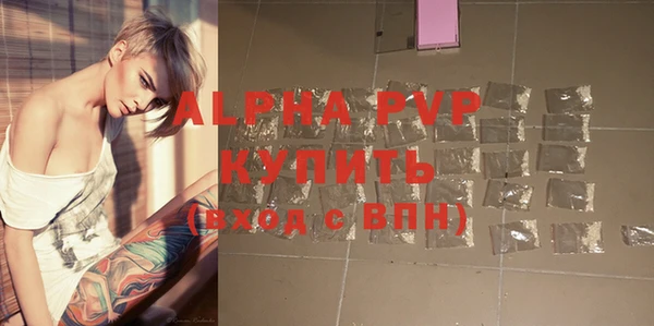 хмурый Белокуриха
