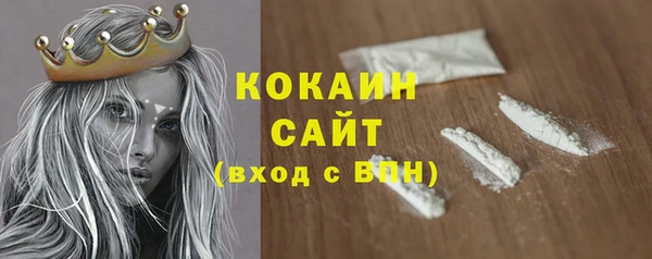 хмурый Белокуриха
