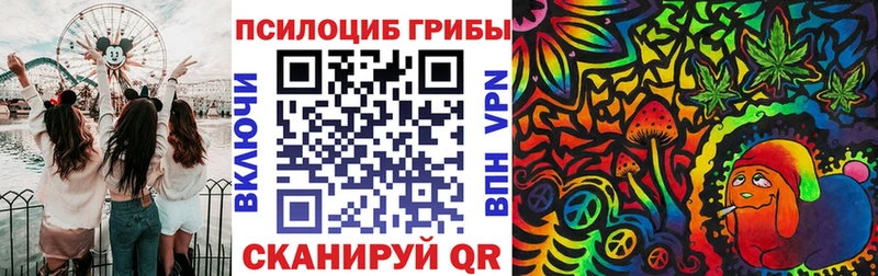 как найти наркотики  Ульяновск  Псилоцибиновые грибы MAGIC MUSHROOMS 